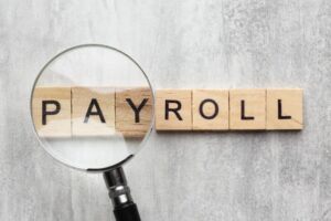 top Payroll platforms In UAE