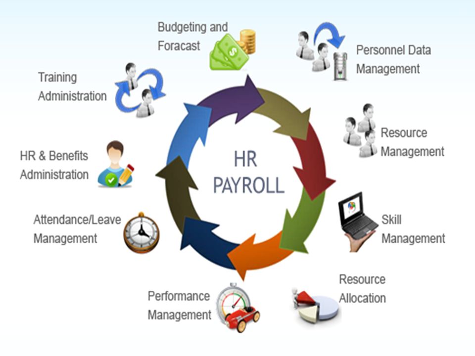 best HR payroll software in UAE