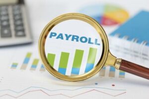 payroll and attendance software in UAE