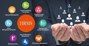 Best Hr Software for Small and Large Bussiness In Pakistan